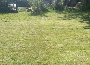 Our large garden area  at 250th Manchester St. Mary's Scout Hut