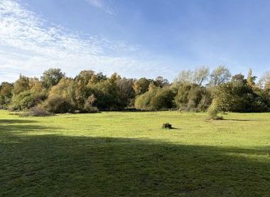 Holton Pits Group