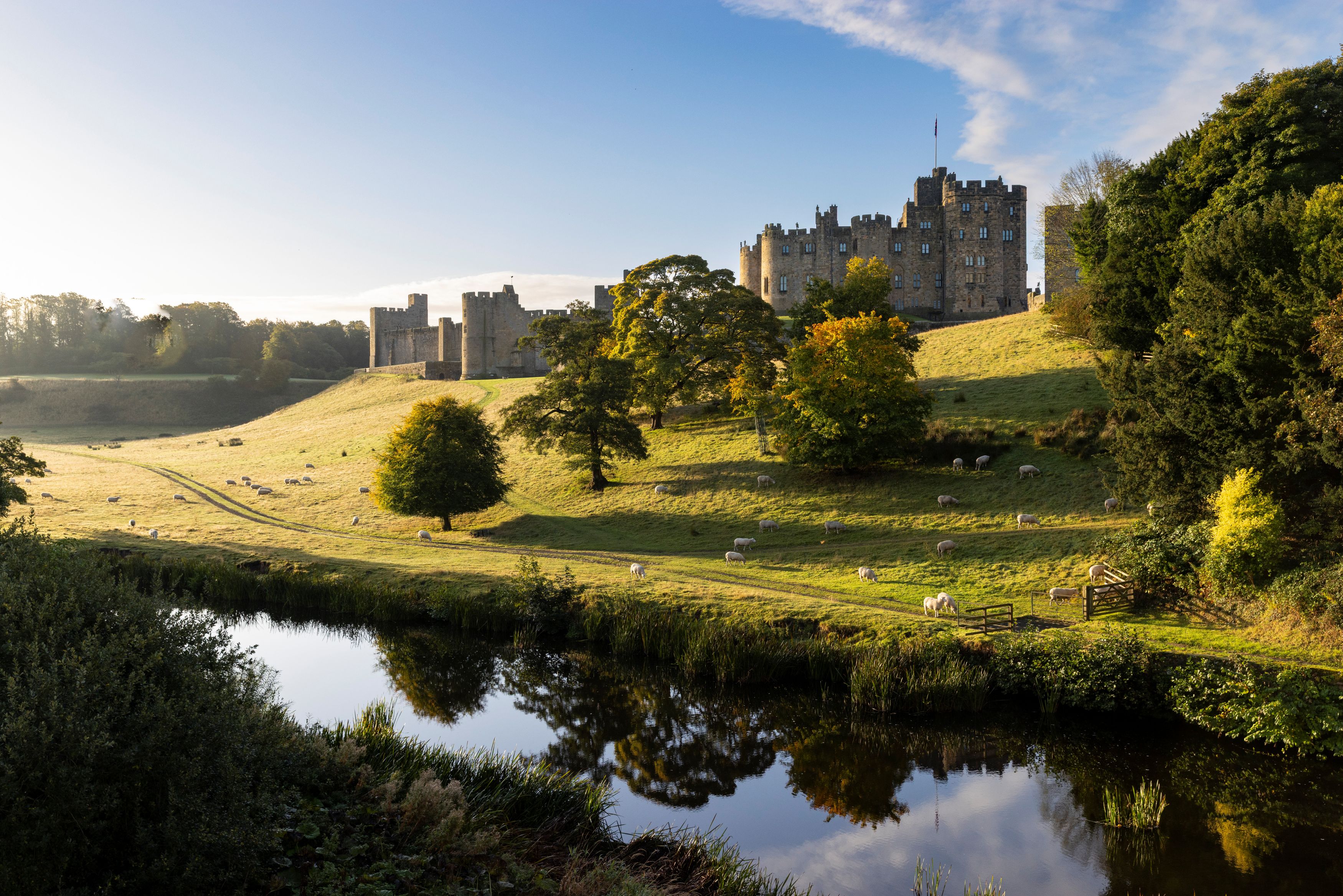 Alnwick Castle - c2 - Historic Houses.jpg