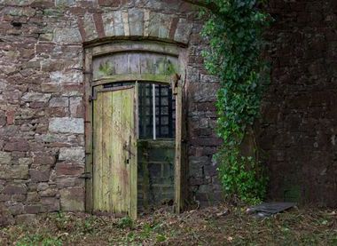 (c) Eggesford Garden/ Simon Moore