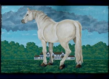 Photograph: Royston Williamson