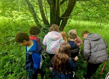 Friends of Bailey's Wood