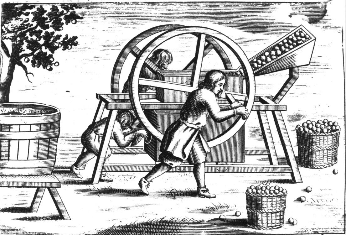 An illustration of three men turning a wheel press. One side has a funnel of apples. There are several barrels of apples nearby too.