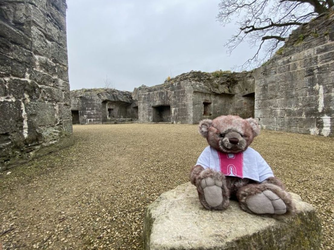 Small teddy bear with a festival branded t-shirt sat on a rock at a historic site