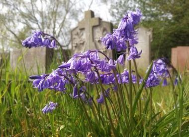 Cottenham Dissenters' Cemetery