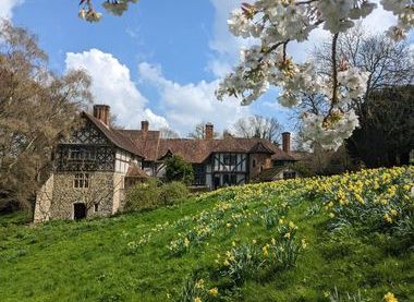 Stoneacre from the orchard