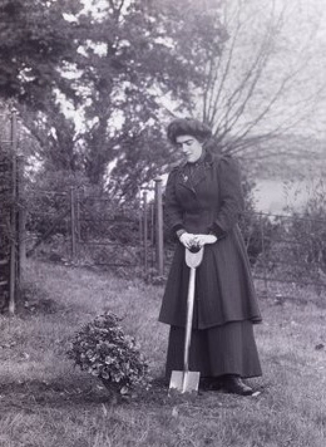 A black and white image of a suffragette, holding a spade and admiring a rather small tree as if it has just been planted.
