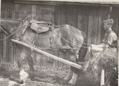 Cragend Farm G Thompson 