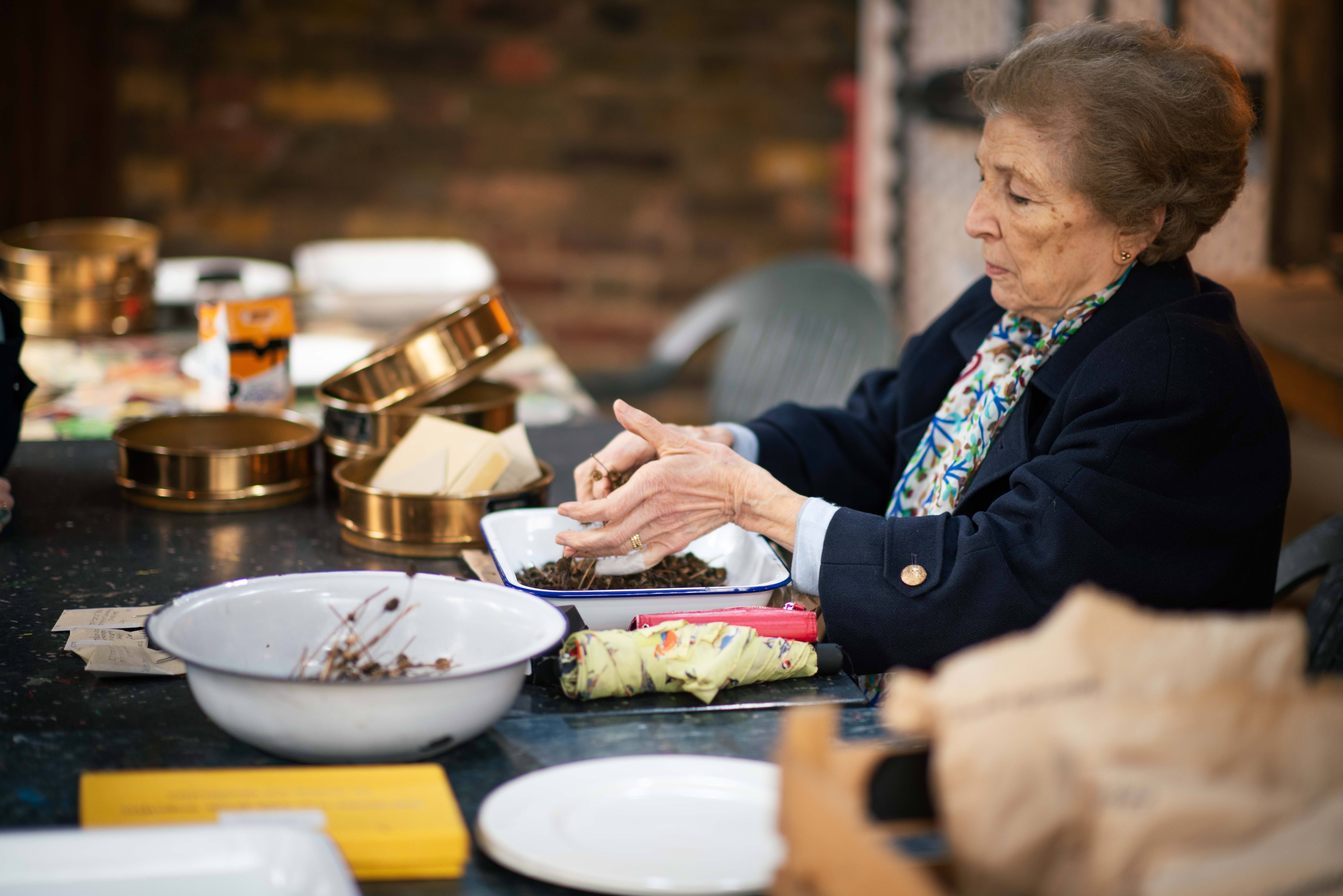 Woman sat sorting seeds at a table covered in bowls and sieves.