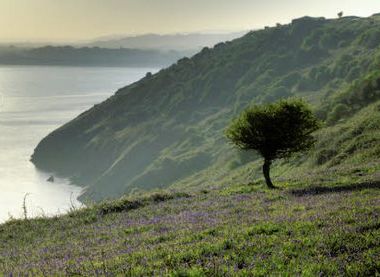 ©National Trust Images/James Dobson