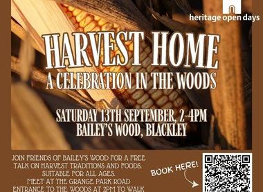 Friends of Bailey's Wood