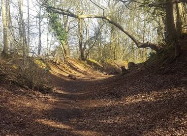 Hill Fort 