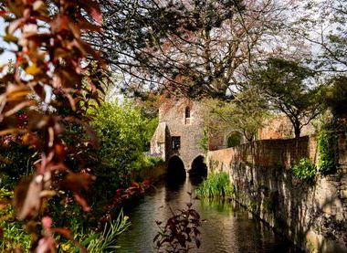 David King Photography, Eastbridge Hospital Copyright