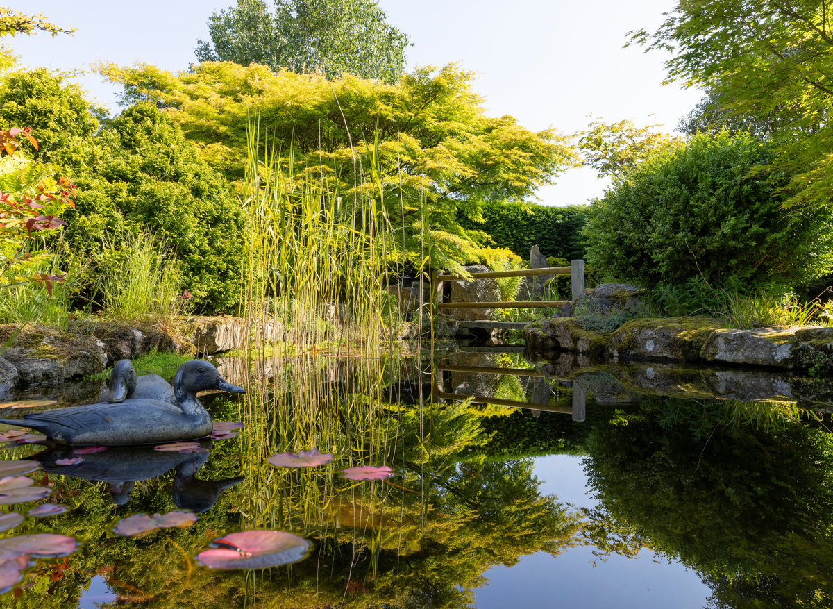 Birkheads Secret Garden