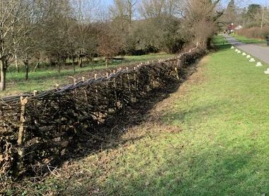 Ashtead Rye Meadows Volunteers