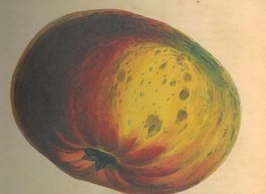 University of Southampton Archives and Special Collections
