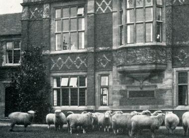 UoR Archive