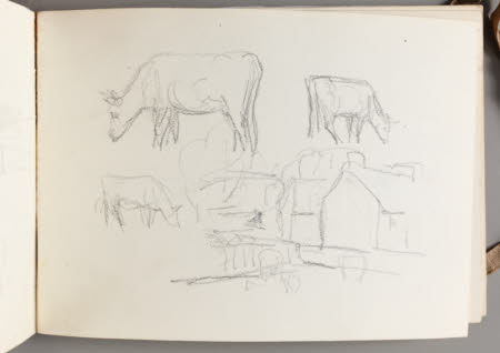 Rough pencil sketches of 3 cows and a building.