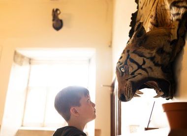 ©National Trust Images/James Beck