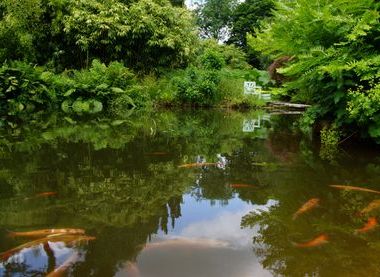National Trust  