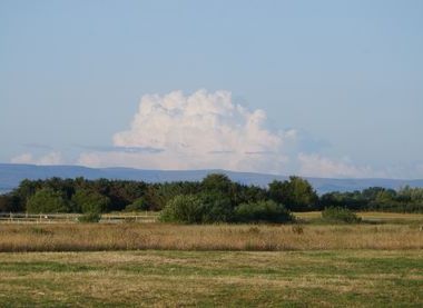 Wyre Council