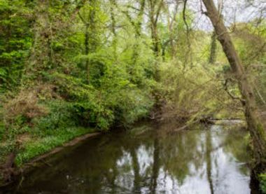 ©National Trust Images/Annapurna Mellor