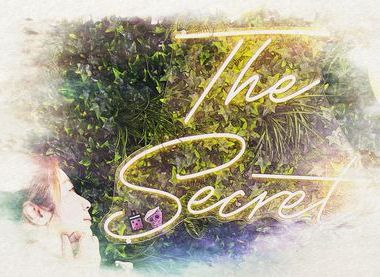 The Secret Grocer