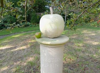 Friends of the Storey Gardens