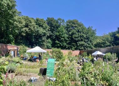 Bohemia Walled Garden