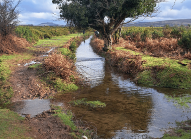 Dartmoor Preservation Association