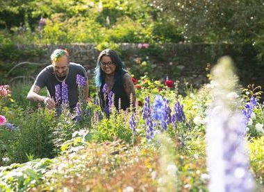 National Trust / Steve Haywood