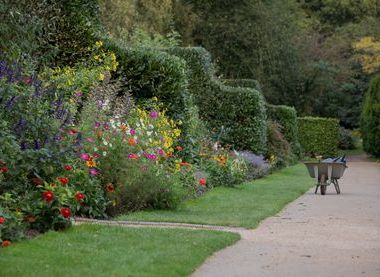 © National Trust Images / Rebecca Hughes