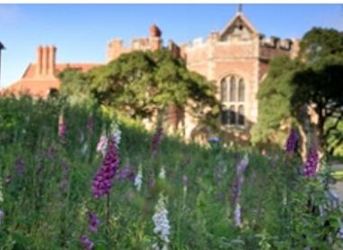 ©National Trust Images/John Miller