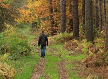 ©National Trust Images/John Miller