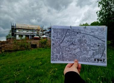 Friends of Bailey's Wood