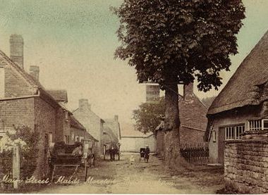 Front Wheatsheaf